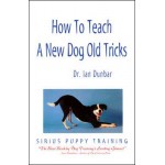 How To Teach A New Dog Old Tricks